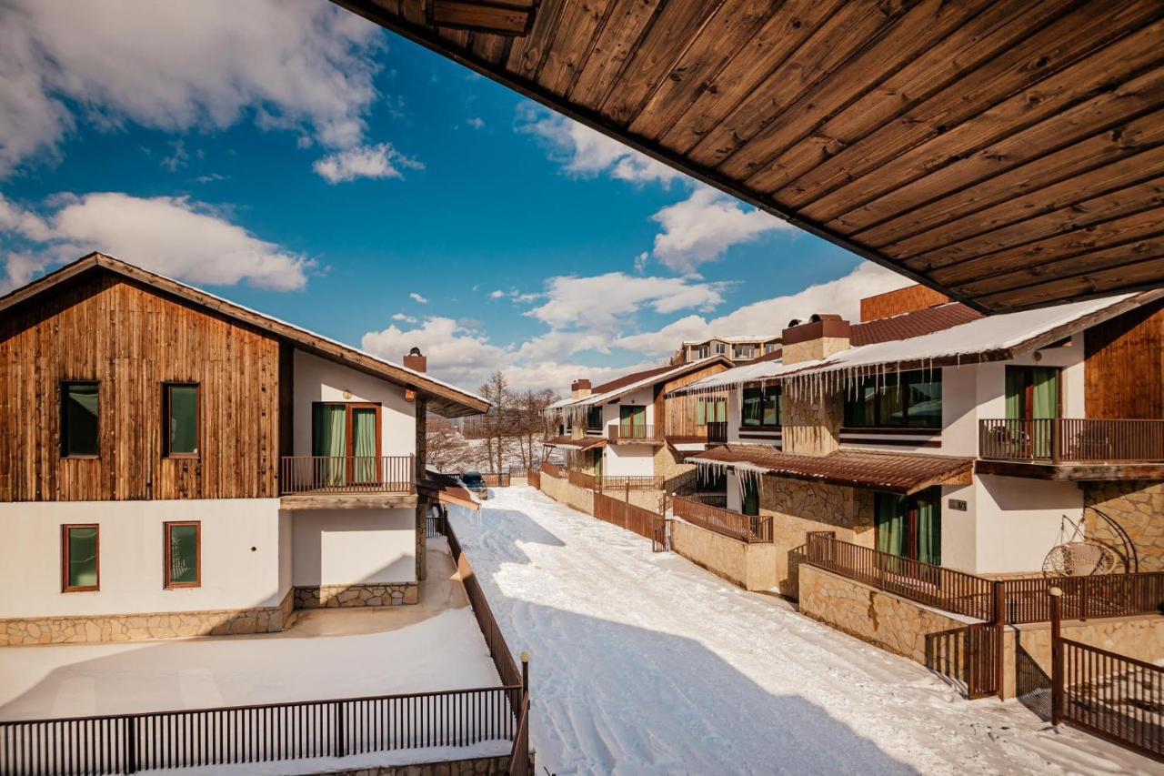 Villa In Crystal Bakuriani Dış mekan fotoğraf