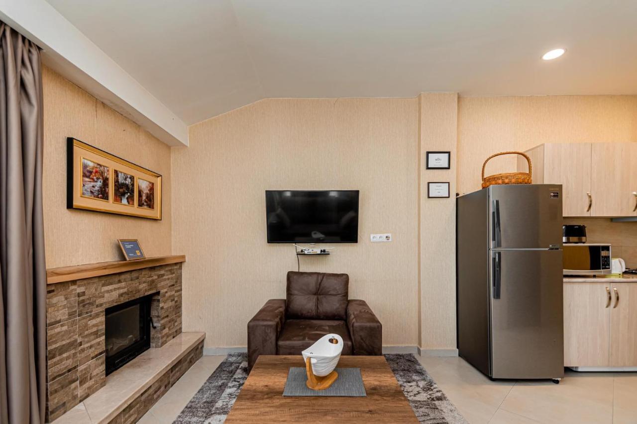 Villa In Crystal Bakuriani Dış mekan fotoğraf