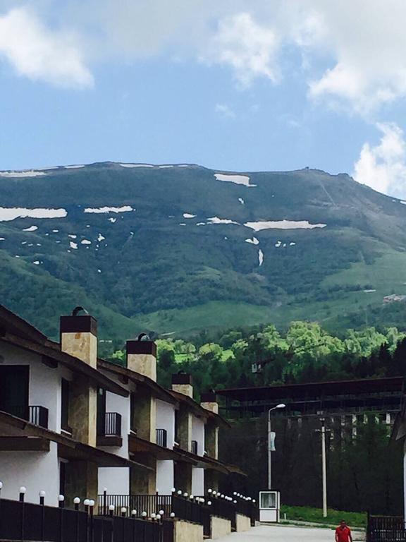 Villa In Crystal Bakuriani Dış mekan fotoğraf