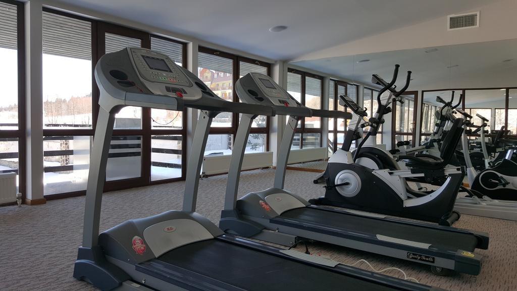 Villa In Crystal Bakuriani Dış mekan fotoğraf